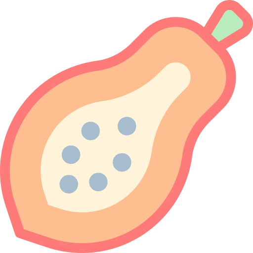 Papaya fruit food vegan icon