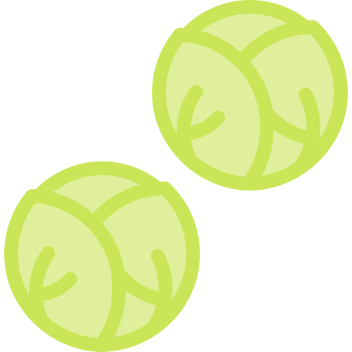 Brussels sprouts food vegan vegetable icon Brussels sprouts food vegan vegetable icon