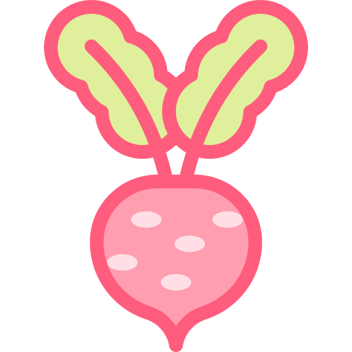 Radish food organic food and restaurant icon Radish food organic food and restaurant icon