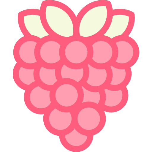 Raspberry raspberry healthy food food and restaurant icon Raspberry raspberry healthy food food and restaurant icon