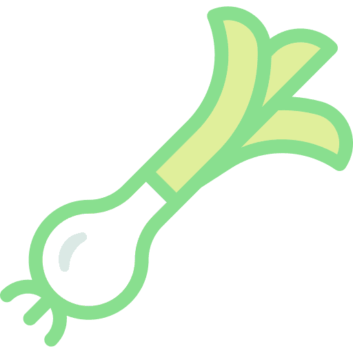 Scallion food vegetarian food and restaurant icon Scallion food vegetarian food and restaurant icon
