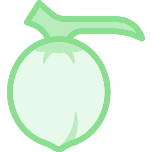 Coconut natural vegan food icon Coconut natural vegan food icon