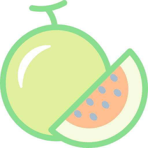 Melon melon food juicy icon Melon melon food juicy icon