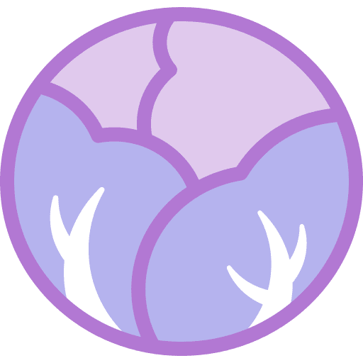 Salad food and restaurant salad healthy food icon Salad food and restaurant salad healthy food icon