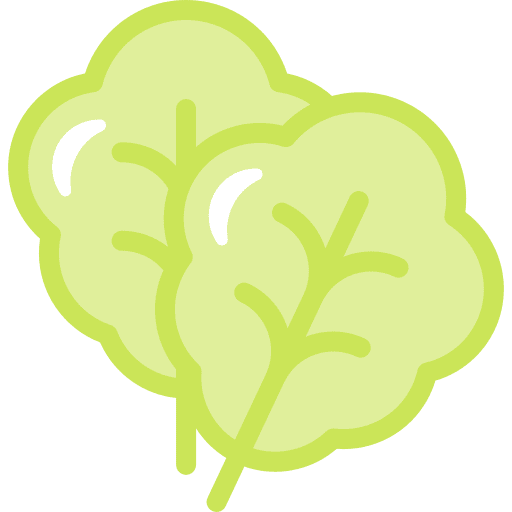 Salad salad food organic icon Salad salad food organic icon