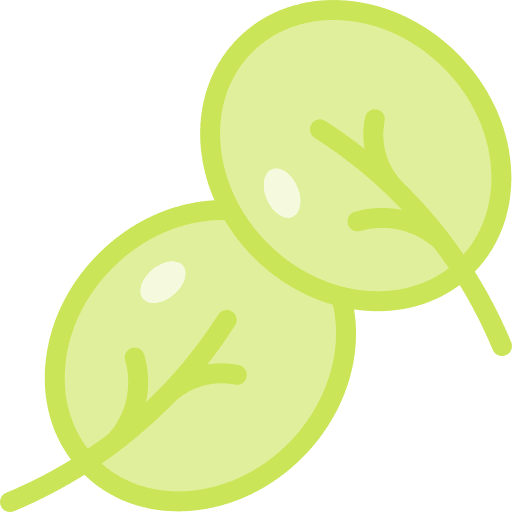 Spinach food and restaurant spinach vegetarian icon Spinach food and restaurant spinach vegetarian icon