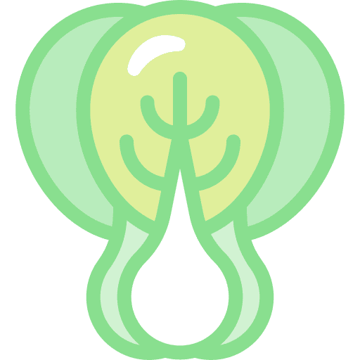 Bok choy diet bok choy vegetables icon Bok choy diet bok choy vegetables icon