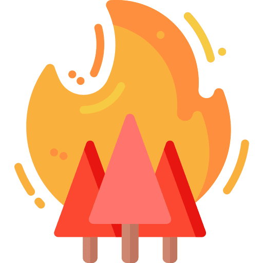 Fire forest fire tree forest icon