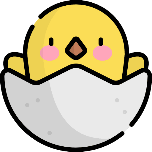 Chick egg bird chick icon