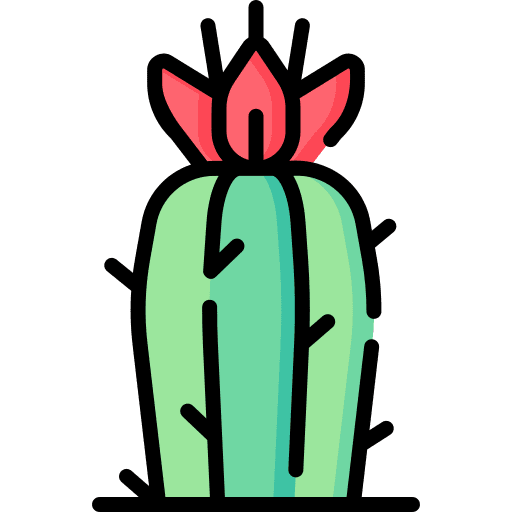 Cactus cactus dry desert icon