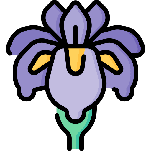 Iris flowers petals plant icon