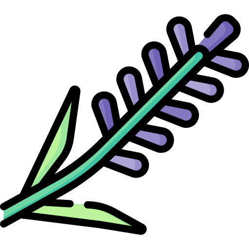 Lavender lavender blossom botanical icon