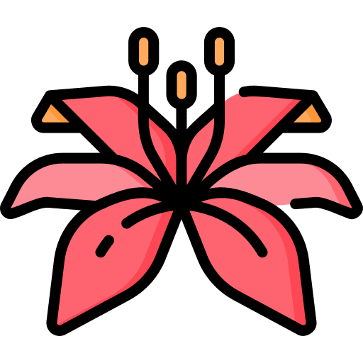 Lily plant blossom nature icon