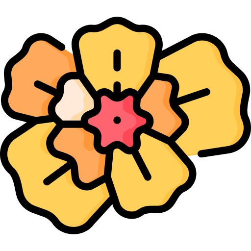 Mint marigold botanical petals nature icon
