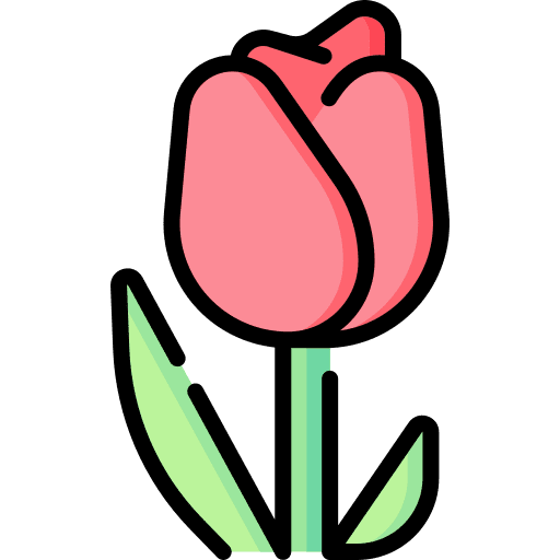 Tulip petals nature tulip icon