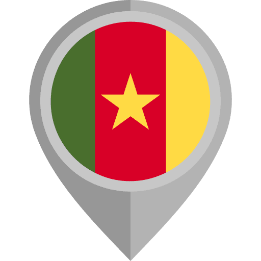 Cameroon nation cameroon flag icon