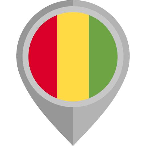 Guinea placeholder country flag icon