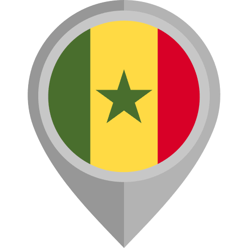 Senegal flags flag senegal icon