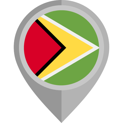 Guyana country guyana flags icon