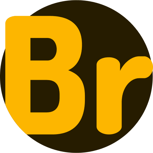 Bridge files and folders bridge graphic design icon