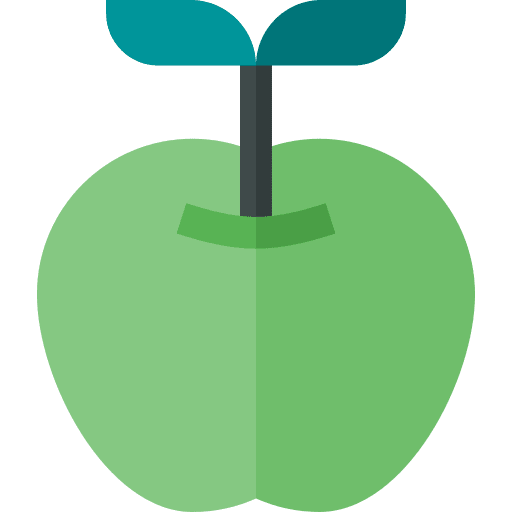 Apple diet vegetarian healthy food icon