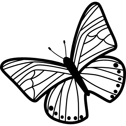 Butterfly of thin stripes wings pattern rotated to left from top view design top view animals icon