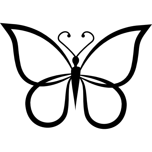 Butterfly shape outline top view top view butterfly insect icon