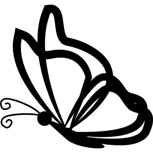 Butterfly with transparent wings outlines from side view butterflies outlines animal icon