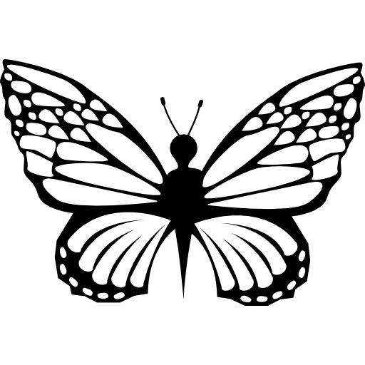 Delicacy of butterfly shapes insects insect butterfly icon