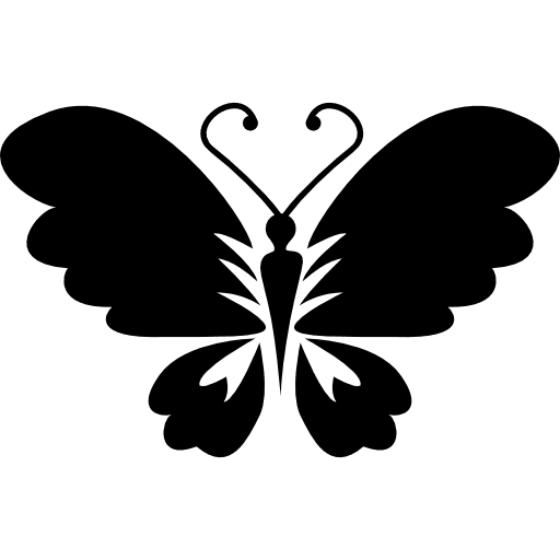 Black butterfly top view with opened wings animals black insects icon