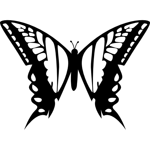 Butterfly design of two big wings from top view design animals insect icon
