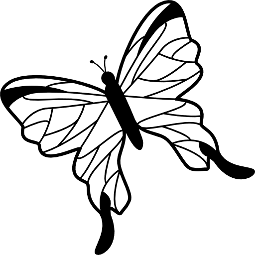 Butterfly with delicate wings from top view rotated to left delicate animals butterflies icon