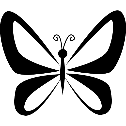 Butterfly with wings perspective from top view butterflies insect animals icon