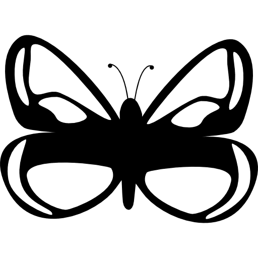 Butterfly design top view butterfly insects icon