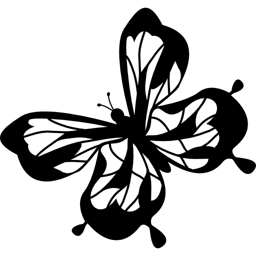 Butterfly top view insects butterflies icon