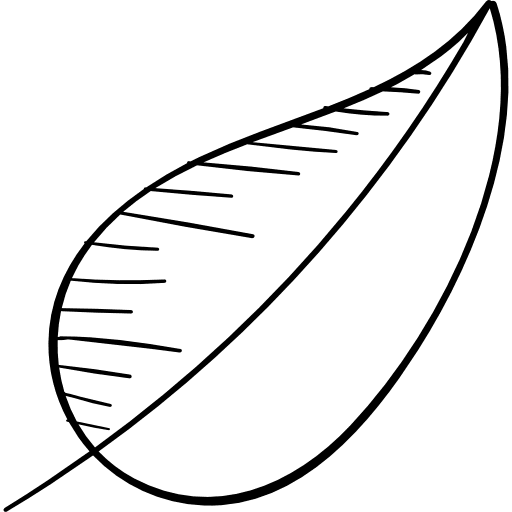 Leaf yard leaves autumn icon