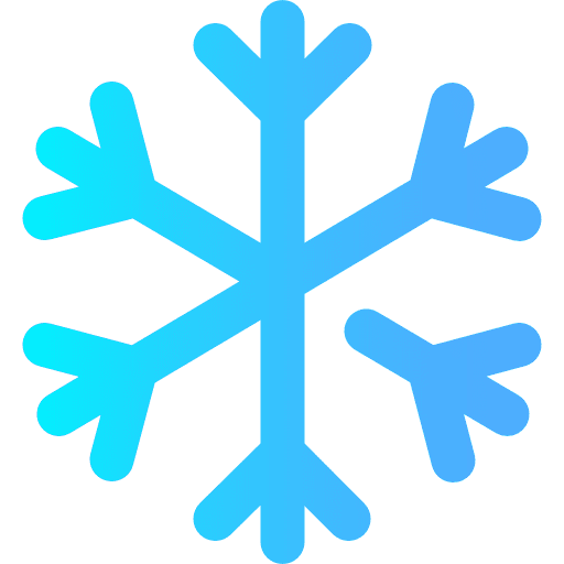 Snowflake flake winter snow icon