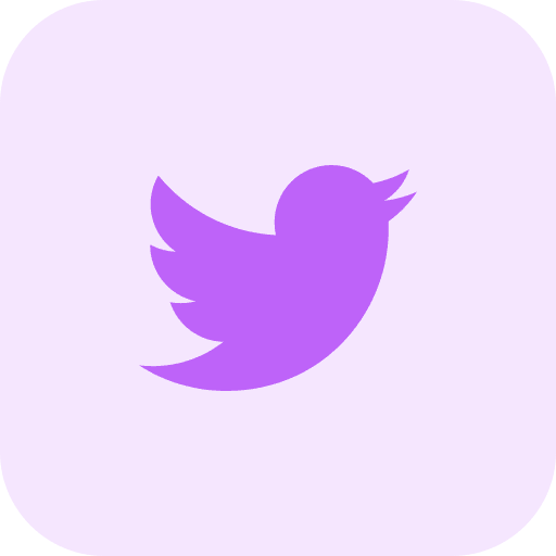 Twitter twitter network logo icon