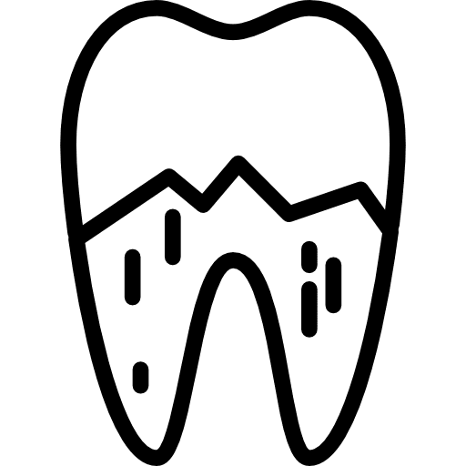 Tooth odontology dental premolar icon