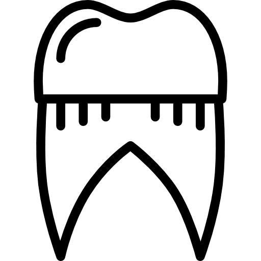 Tooth premolar dental odontology icon