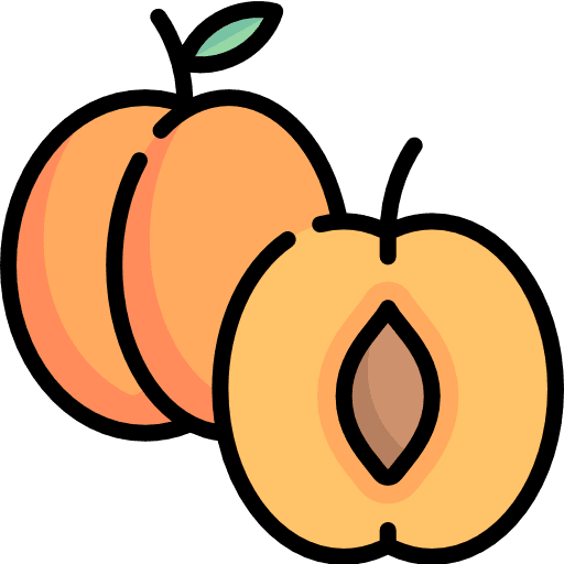 Apricot fruit healthy food food icon