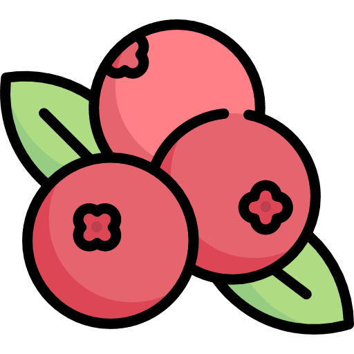 Berries bouquet fruits fruit icon