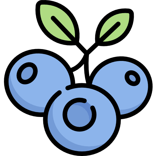 Blueberry healthy blueberry blueberries icon