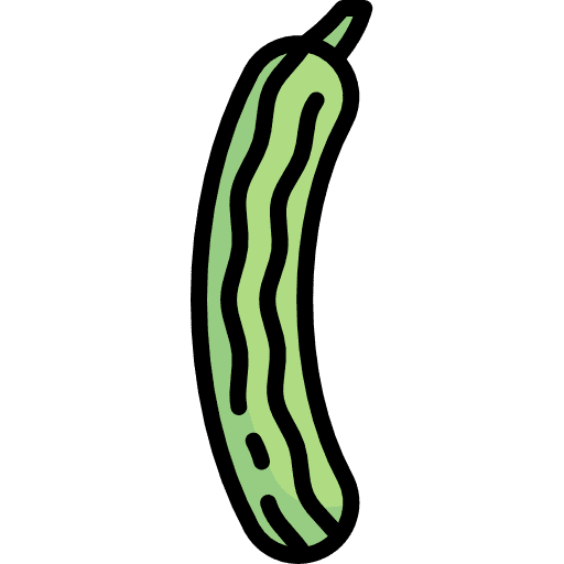 Cucumber food cucumber healthy food icon