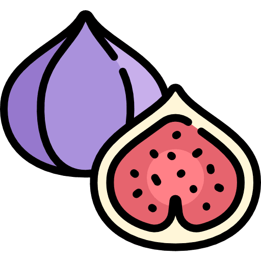Fig vegan fruit healthy icon