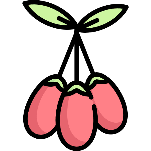 Goji organic healthy food food icon