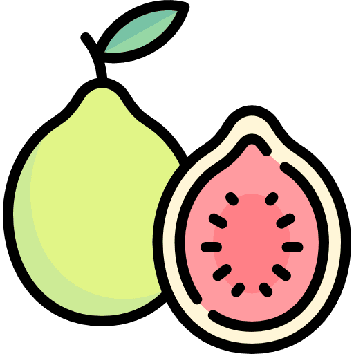 Guava fruit food diet icon