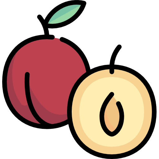 Plum vegan healthy food diet icon