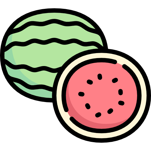 Watermelon watermelon vegetarian organic icon