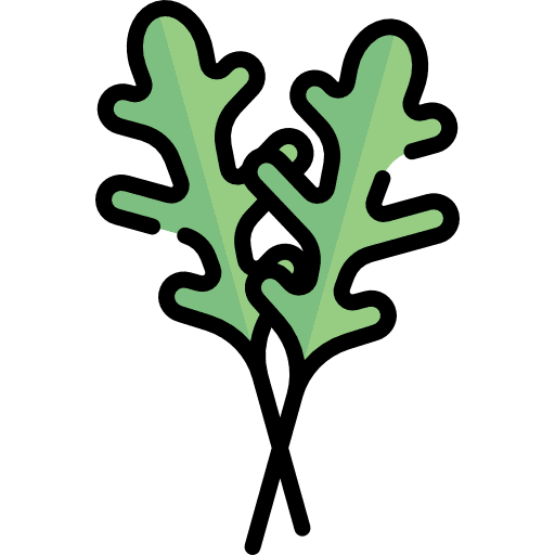 Arugula healthy food vegetable vegan icon